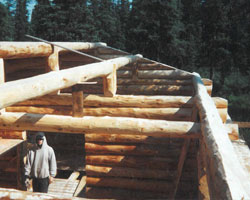 Construire un chalet avec de l'aide